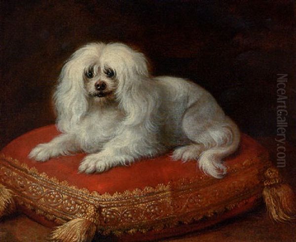 A Spaniel On A Cushion - view 1