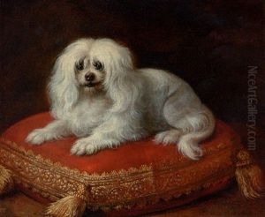 A Spaniel On A Cushion