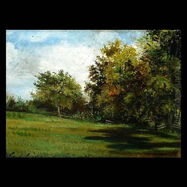 Green Field With Trees - view 1