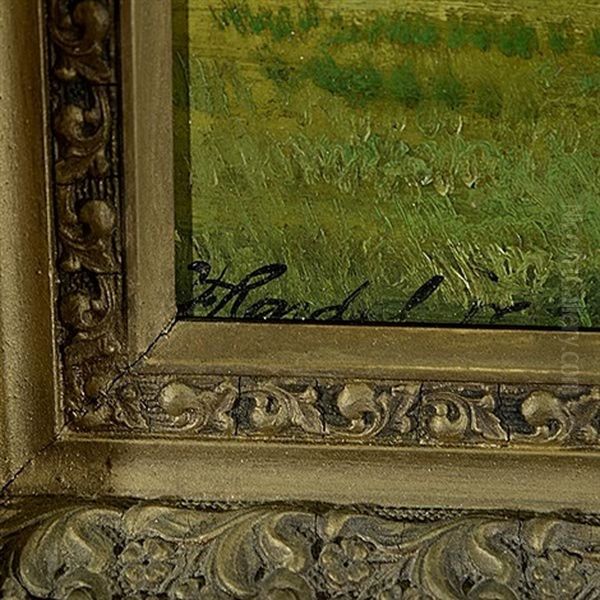 Green Field With Trees - view 1