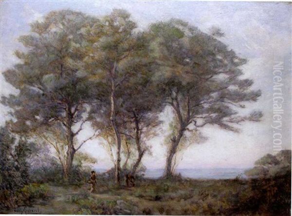 Foret De Baneim Sur Les Hauteurs D'alger - view 1