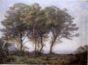 Foret De Baneim Sur Les Hauteurs D'alger
