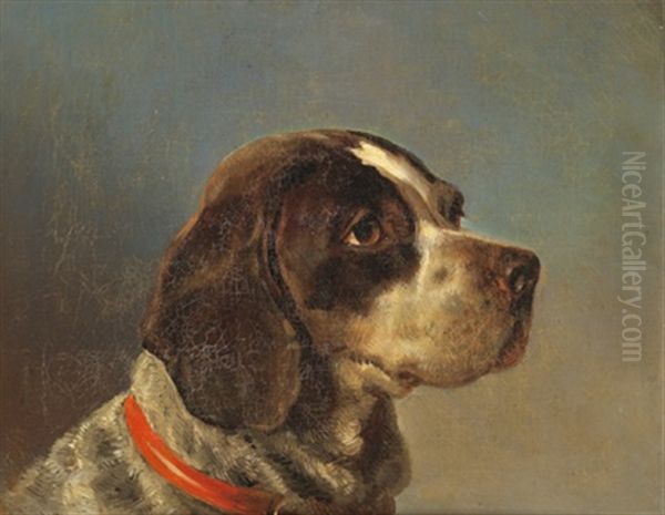Hundeportrait - view 1