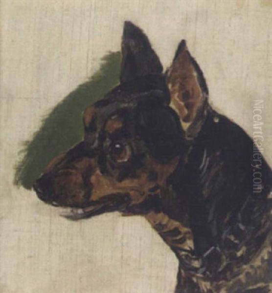 Hundeportrait - view 1