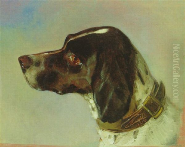 Kopf Eines Jagdhundes - view 1