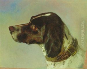 Kopf Eines Jagdhundes