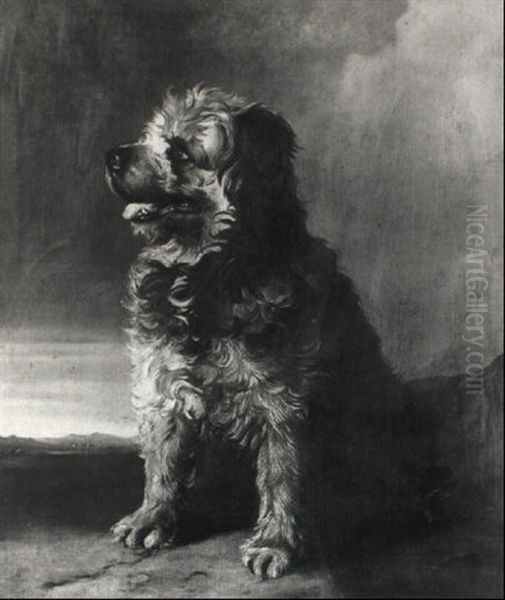 Sitzender Hund - view 1