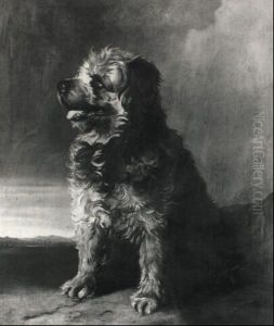Sitzender Hund Sitzender Hund