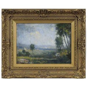 Tropical Landscape