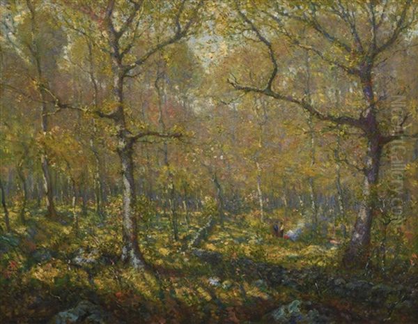 The Clearing (golden Spring) - view 1