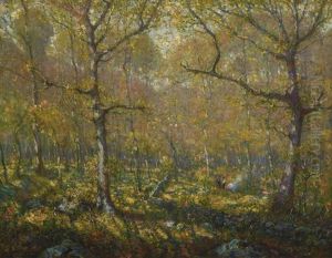 The Clearing (golden Spring) The Clearing (golden Spring)