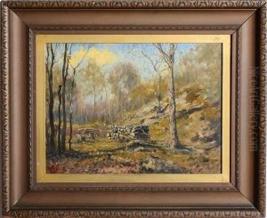 Adirondack Scene