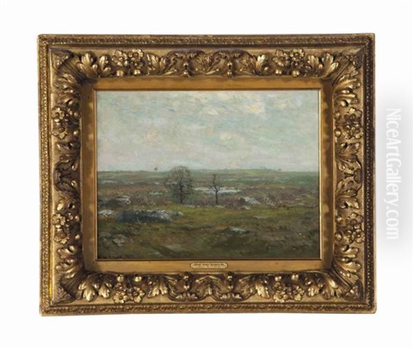 A Rocky Landscape - view 1