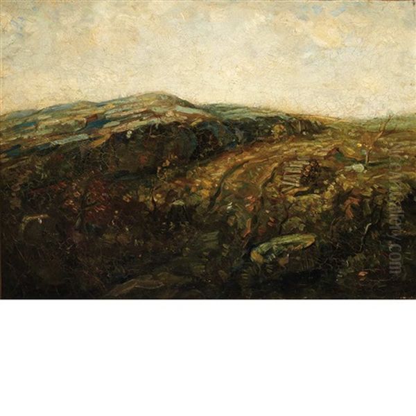 The Hills - view 1