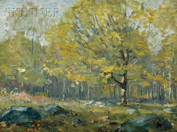 Woodlands In Spring - view 1