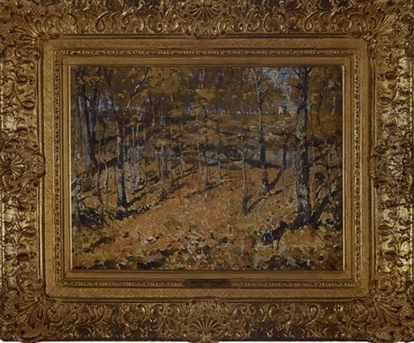 Autumn Woods - view 1