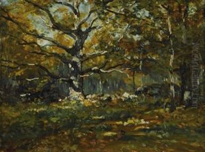 Forest Glade Forest Glade