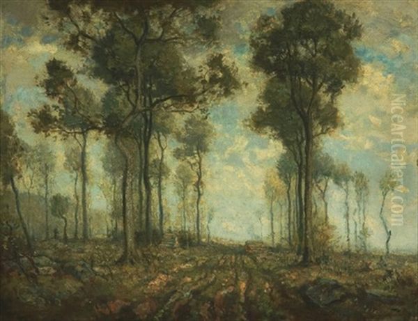 Outskirts Of The Woods - view 1