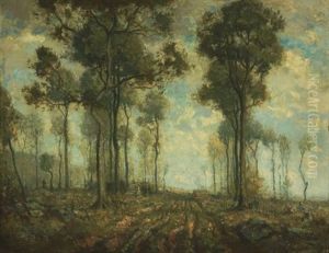 Outskirts Of The Woods Outskirts Of The Woods
