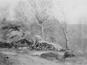 A Forest Landscape A Forest Landscape