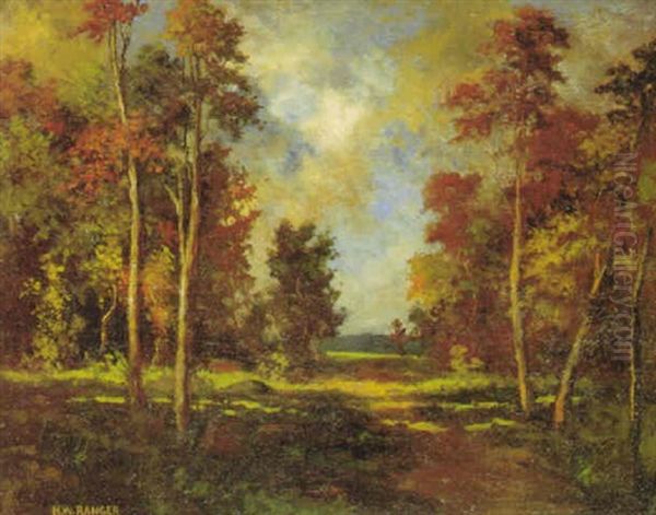 Afternoon Landscape - view 1