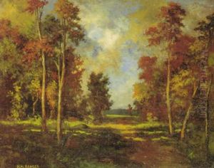 Afternoon Landscape