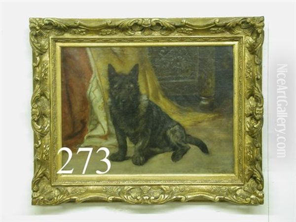 Portrait Of A Dog In Front Of Drape And Chest - view 1