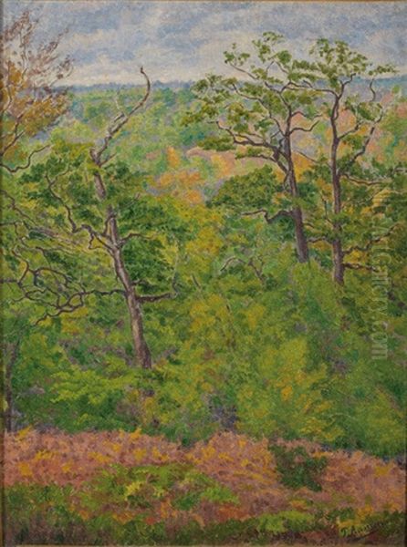Sous-bois Aux Fougeres Roses - view 1