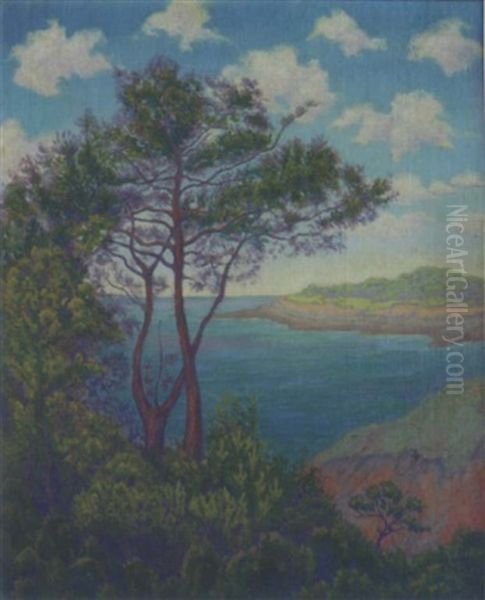 Paysage Maritime A L'arbre Double - view 1