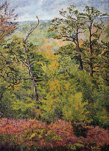 Sous-bois Aux Fougeres Rouges - view 1