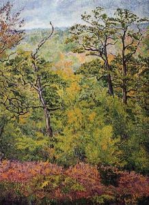Sous-bois Aux Fougeres Rouges
