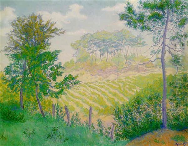 Paysage De Printemps - view 1