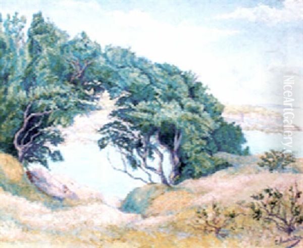 Paysage Boise En Bord De Mer - view 1