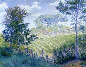 Les Vignobles Sous Les Pins by Paul Elie Ranson