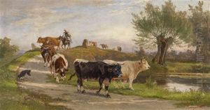 Hirten Und Kuhherde Am Heimweg