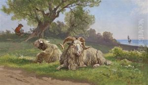 Weideidylle Am Seeufer