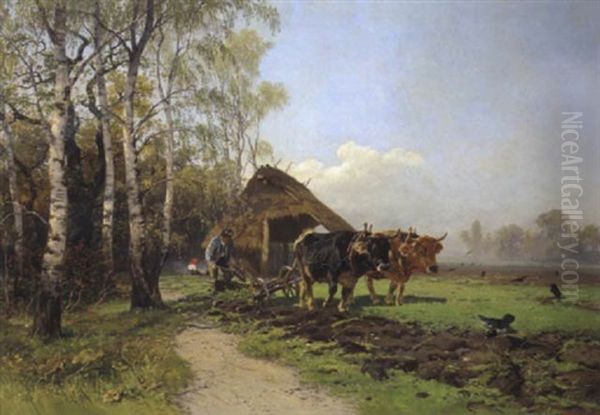 Ein Ochsengespann - view 1