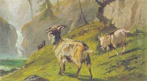 Ziegen Am Bergsee