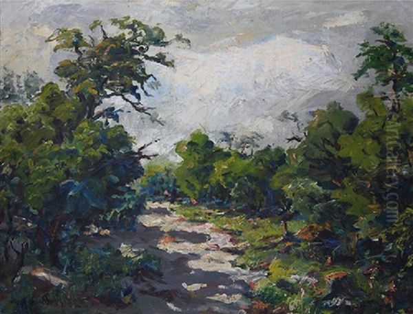 Clearing Through The Trees - view 1