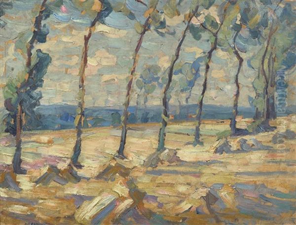 Poplars - view 1