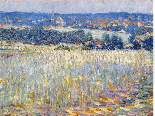 Flowering Fields Near St. Job, Uccle, Belgium - view 1