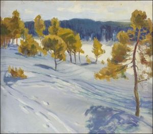Aurinkoinen Talvipaiva - Solig Vinterdag Aurinkoinen Talvipaiva - Solig Vinterdag