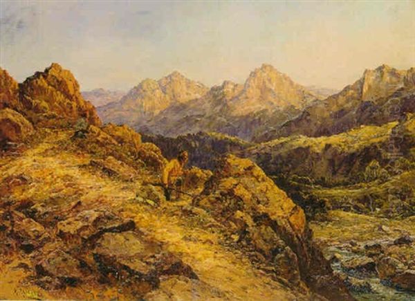Morning, Colorado River, Arizona - view 1