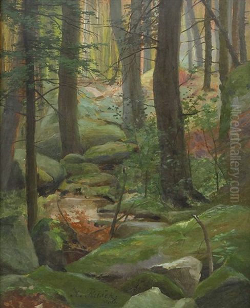 Lesni Zakouti - view 1
