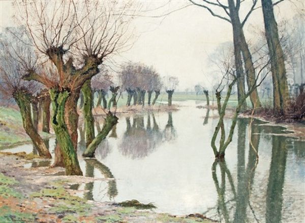 Willow Trees In The Rhine Meadows - view 1