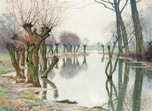 Willow Trees In The Rhine Meadows