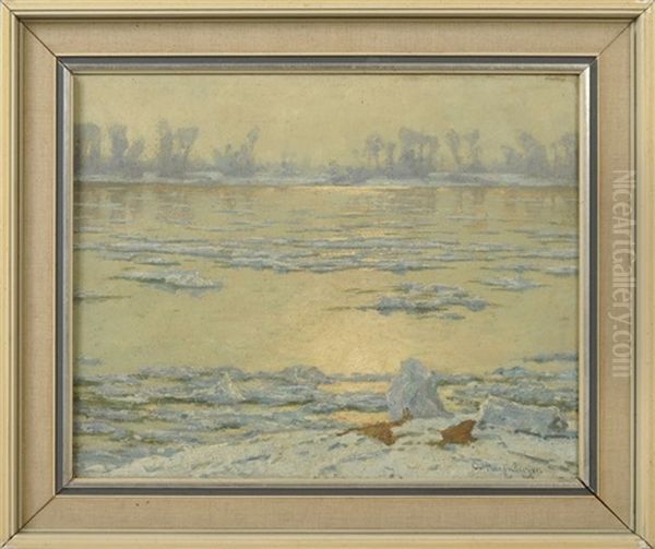 Winterliche Rheinlandschaft - view 1