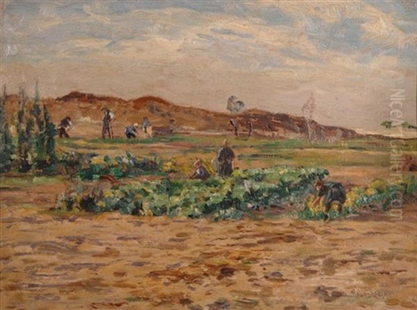 Auf Dem Felde - view 1