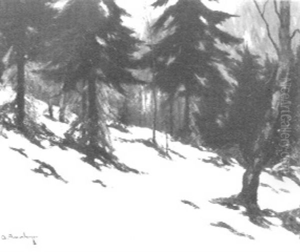 Verschneite Waldlandschaft In Der Abendsonne - view 1