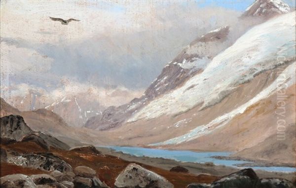 A Bird Flying Over A Greenlandic Fiord - view 1